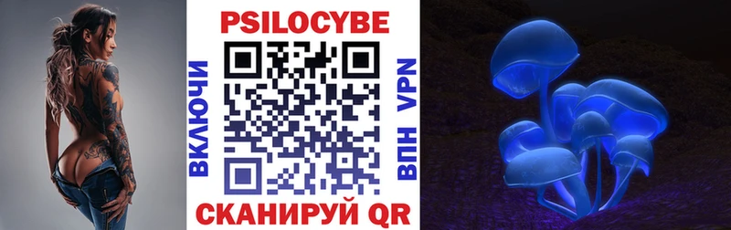 где купить наркоту  Шахунья  нарко площадка Telegram  Псилоцибиновые грибы Psilocybe 